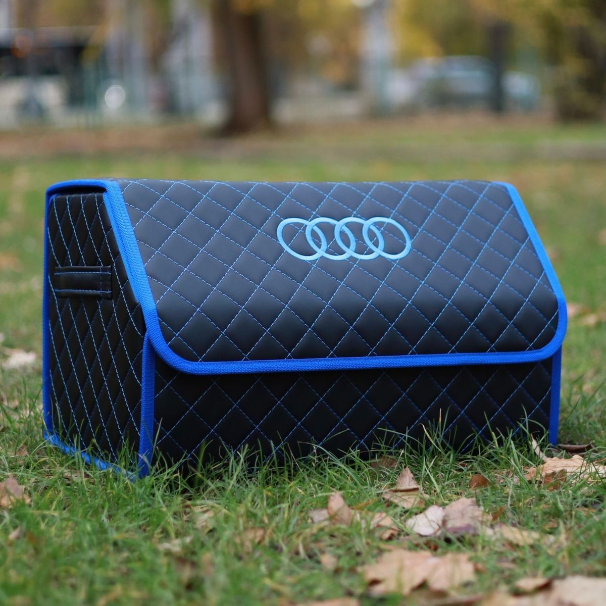Органайзер в багажник авто Autobag, чорний з синьою строчкою та окантовкою, 50x30x30 см 08-50VN0 фото